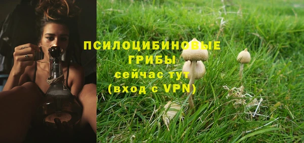твердый Каменка