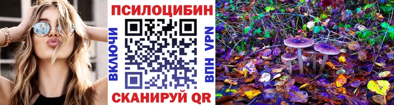 Купить  Будённовск  Галлюциногенные грибы Magic Shrooms 